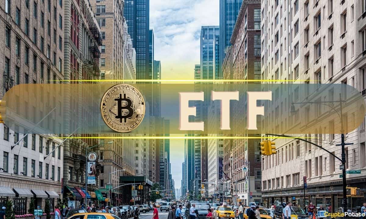 Bitcoin ETFs Thrive, Just 1 Outflow in 17 Days: Santiment