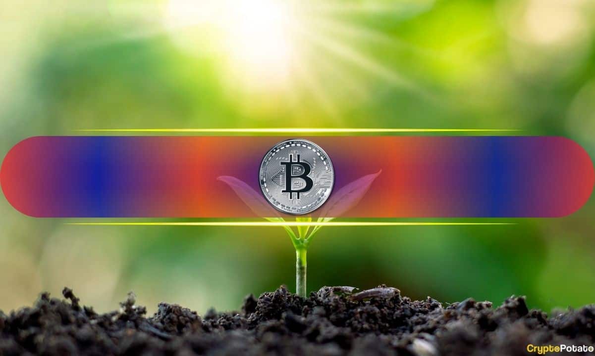 Less Than 1 BTC Might Be Enough to Retire: Here’s Why