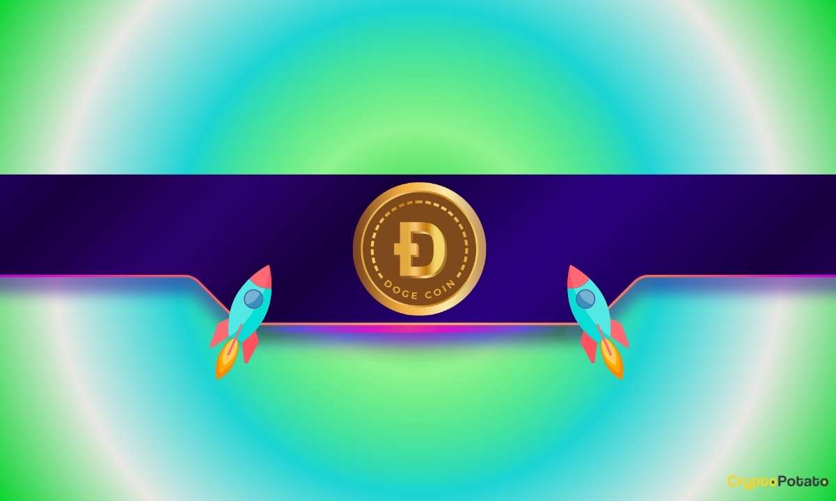 DOGE Season Not Started Yet