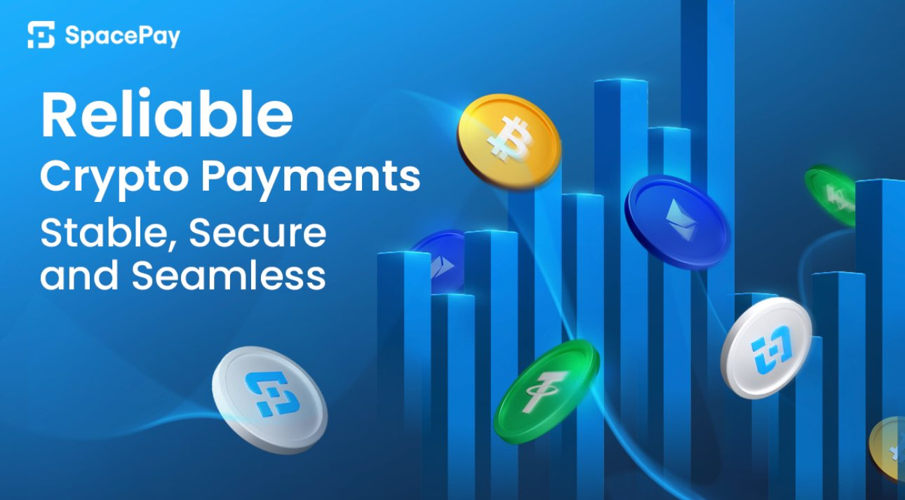 Why This Underpriced Altcoin Is the Best Pick to Diversify Your Crypto Portfolio