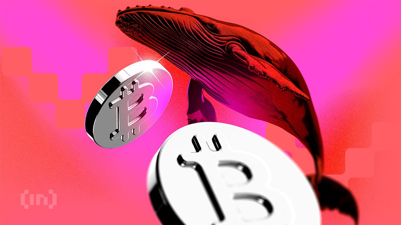 Bitcoin Whale Wallets Surge to Four-Month High as Retail Investors Exit