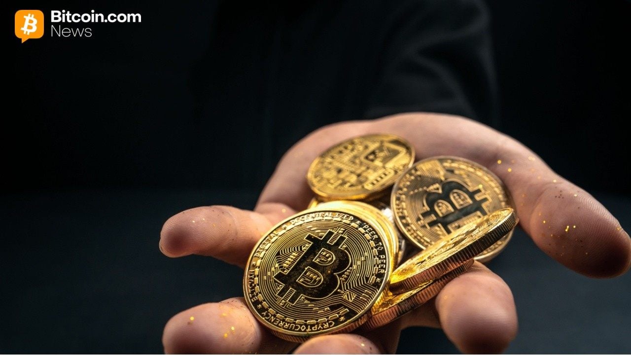 Legacy Wallets Drive Bitcoin’s November Pullback